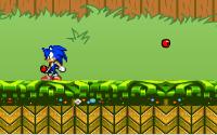 Sonic In The Garden